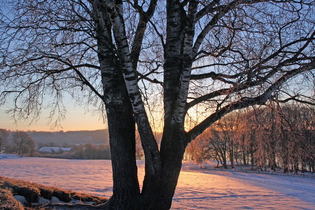 Vinterferien kalder på aktiviteter i vinterlandskabet, og det er nu muligt at stå på skøjter på nogle af kommunens søer.