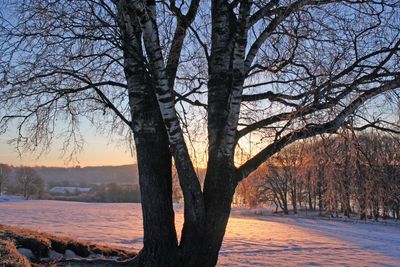 Vinterferien kalder på aktiviteter i vinterlandskabet, og det er nu muligt at stå på skøjter på nogle af kommunens søer.