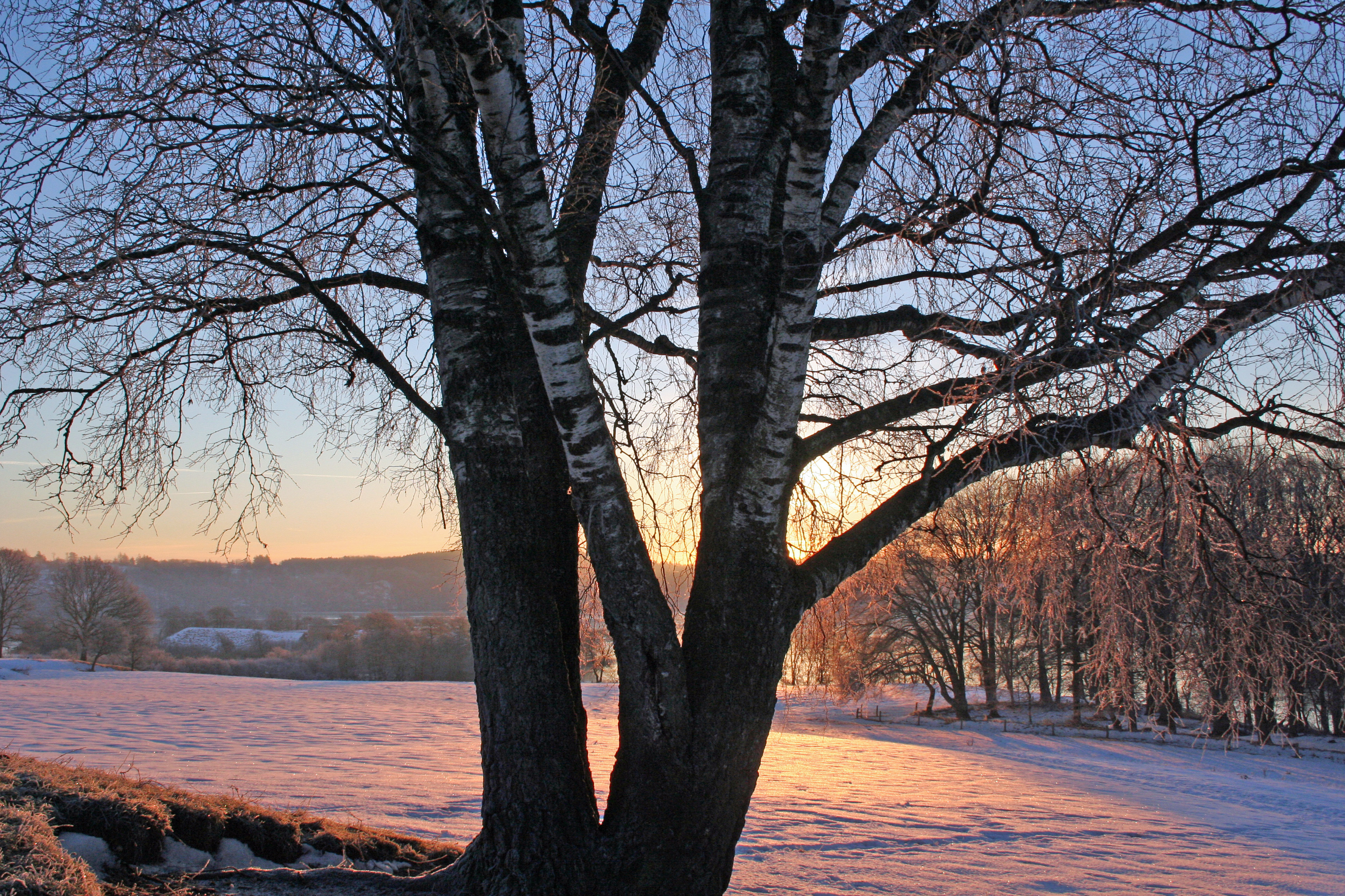 Vinterferien kalder på aktiviteter i vinterlandskabet, og det er nu muligt at stå på skøjter på nogle af kommunens søer.