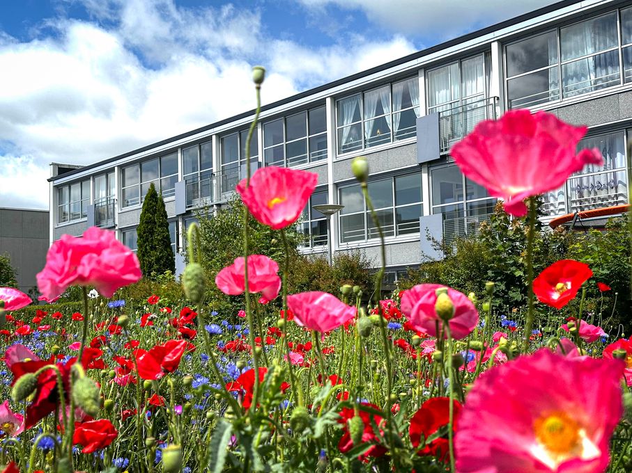 Sundheden bliver styrket med sundhedscaféer her i Houlkærvænget samt i Ellekonebakken/Klostervænget og i Karup/Kølvrå / Foto: Lars Holm
