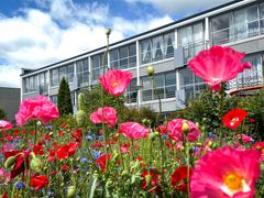 Sundheden bliver styrket med sundhedscaféer her i Houlkærvænget samt i Ellekonebakken/Klostervænget og i Karup/Kølvrå / Foto: Lars Holm
