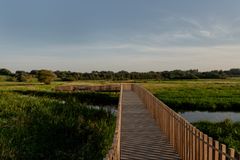 I 2025 vandt broen over Simested Å Viborg Kommunes Arkitekturpris. Foto: Mette Johnsen.