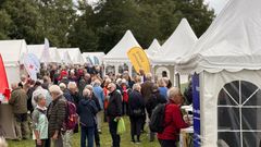 Seniorfolkemødet flytter  i 2026 fra sØnæs til Paradepladsen.