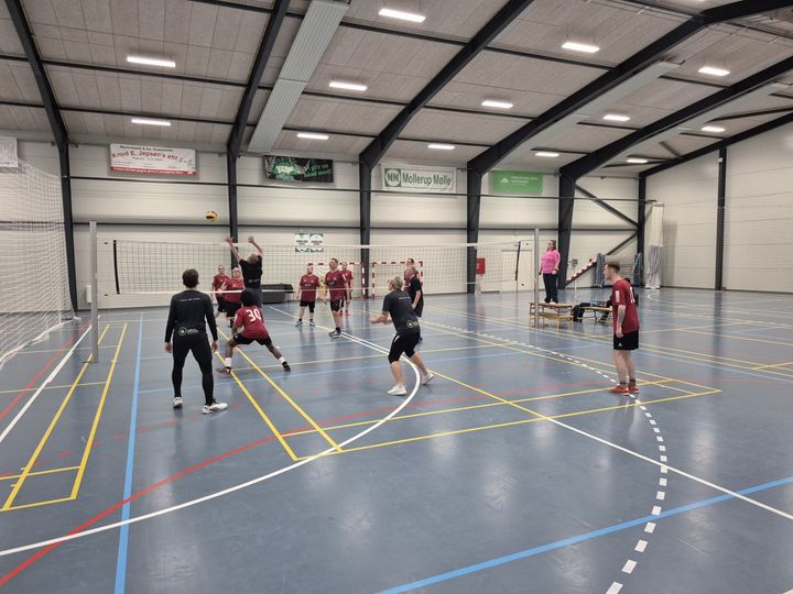 Medlemmer af idrætsforeningen VIB IF spiller volleyball