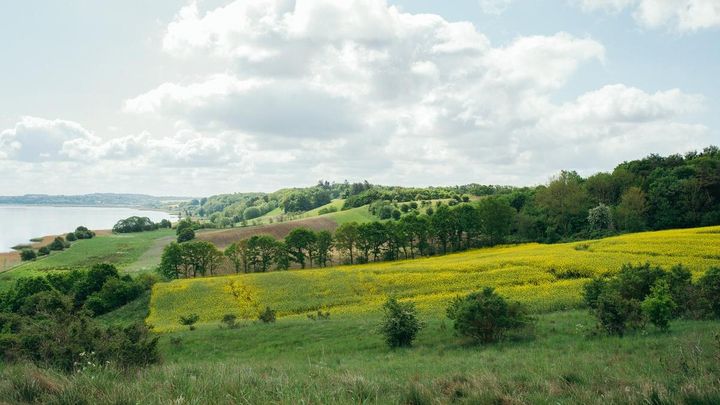 Erhverv, by- og landdistriktsudvikling, mobilitet og det åbne land bliver fortsat centrale fokusområder i Planstrategi 2045. Foto: Olga Grigorenko.