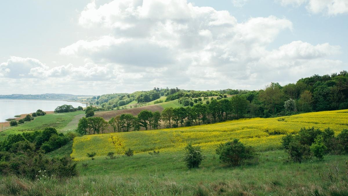 Erhverv, by- og landdistriktsudvikling, mobilitet og det åbne land bliver fortsat centrale fokusområder i Planstrategi 2045. Foto: Olga Grigorenko.