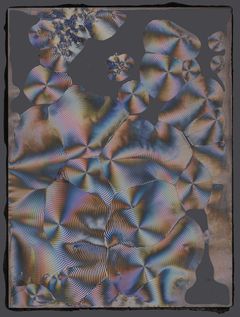 Crystalline Memories of Deep Time, krystalliseret aminosyre.