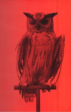 Ann Lislegaard, Oracles, Owls, 2020. Silketryk 120 x 80 cm