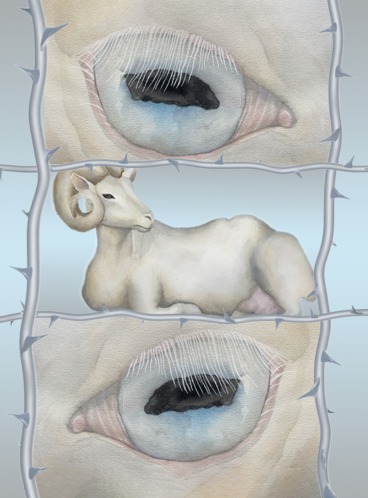 I fem digitalt vævede gobeliner sammensættes en række elementer, der på collagelignende vis peger på historiske syndebukkefortællinger.