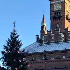 Juletræ på Rådhuspladsen og Rådhuset med sne på taget