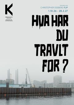 Udstillingsplakat - HVA' HAR DU TRAVLT FOR?