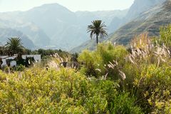 HIke i bjergene på Gran Canaria