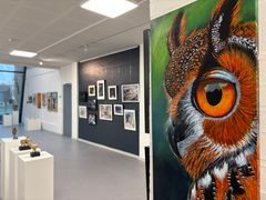 Bjerringbro Udstillingen 2025