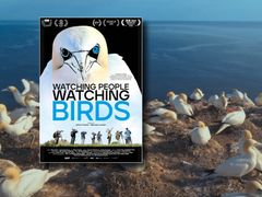 Watching People Watching Birds - dokumentarfilm i Gudenåhuset, Bjerringbro Bibliotek d. 23/9