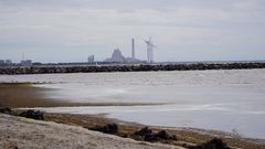 Foto af strandkanten med Avedøreværket i baggrunden.