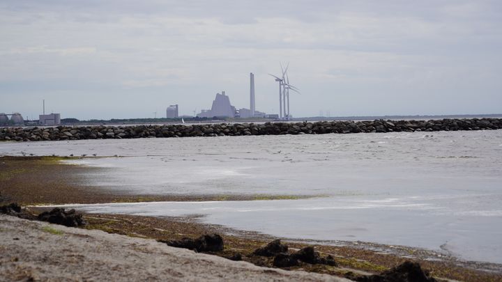 Foto af strandkanten med Avedøreværket i baggrunden.