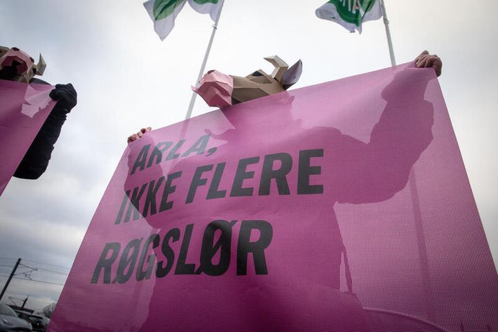 Greenpeace klager til Erhvervsstyrelsen over Arlas vildledning. I marts fik mejeriselskabet også overrakt en kritisk rapport, der dokumenterede den manglende klimahandling