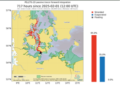 Grafisk simulering af en ulykke med 48.000 tons råolie i Femern Bælt syd for Lolland. I løbet af knap 30 døgn spredes 65% af olien - svarende til 31.000 tons - langs Lollands sydvestkyst, op langs Storebælt, rundt om Samsø og langs den jyske østkyst mellem Horsens og Grenaa.
