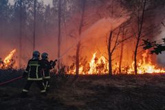 I juli 2026 hærgede en gigantisk naturbrand 42.000 hektar skov i Gironde-regionen i det sydvestlige Frankrig. Billedet her er fra den 26. juli, hvor brandfolk for sjette døgn i træk forsøger at få branden under kontrol efter en sommer med ekstrem varme og tørke.