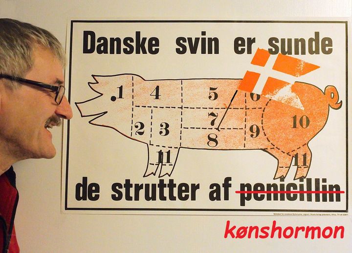 I 1978 fik De Samvirkende Danske Andelsslagteriers Fælleskontor og ESS-FOOD fogedretten i Aarhus til at forbyde Mikael Wittes første penicillinsvineplakat. I 1979 stadfæstede landsretten fogedforbuddet, og det blev først hævet af Højesteret i 1980. Rester af antibiotika er ikke længere et problem i dansk svinekødsproduktion, men til gengæld anvendes der voldsomt sigende mængder kønshormon.