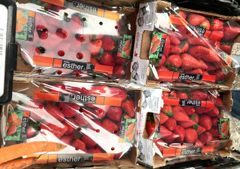 Så er der friske jordbær på hylderne i COOP-butikkerne, men økologiske er de ikke. Billedet er fra DagligBrugsen 31. marts 2024