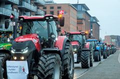 Traktordemonstranterne hyldede angiveligt Grundloven i november 2020, men de gjorde det med økonomisk støtte fra skatteyderne til deres afgiftsfri diesel. Foto: Kristian Ørsted Pedersen
