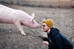 Når man kommer jævnligt hos grisene, så bliver man genkendt, og grisene er trygge ved en. Foto: Benjamin Wedemeyer/Unsplash