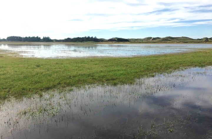 Holstebro Kommune bør straks skrotte planerne om at bygge oversvømmelsestruede og dermed ikke-fremtidssikrede sommerhuse i vestjyske Græm Kær, så dette område kan blive naturgenoprettet som et attraktivt vådområde. Foto: Lars Roesen, 2023
