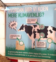 De politiske temaer var til stede overalt på årets Landsskue i Herning: bæredygtighed, et klimatelt, og ja - nu er der også kåring af årets klimako. Den supereffektive ko, som kan producere mest mulig mælk med mindst muligt foder.
