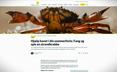 Sådan agiterer Danmarks Naturfredningsforening for at lære børn af dræbe strandkrabber. Skærmbillede fra DN-hjemmeside