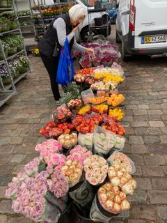 Årligt importeres 160.000 tons blomsterprodukter (2020). Men med importen følger rester af sprøjtegifte i større mængder, og vel at mærke fra sprøjtegifte der ikke er godkendt til anvendelse i EU. Foto til download