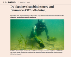 Konferencen kom i stand bl.a. på baggrund af en række fængende avisoverskrifter, f.eks.: ’De blå skove kan binde mere end Danmarks-CO2 udledning’ i Børsen 12.9. 2022, hvor de blå skove henviser til ålegræsenge i danske, kystnære områder.