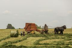 Allerede i halvfjerdserne stod små, familieejede tyske bondegårde over for et dansk industrilandbrug med en "ekspansion på speed". En snusfornuftig tysk selvfinansiering over for en dansk "klondyke-belåning" kraftigt stimuleret af en mere end villig finanssektor. Resultatet ses i dag som et erhverv med en rekordhøj gældsprocent på 60%! Foto: Vladimir Kudinov/Unsplash