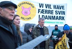 Stadig flere lokalsamfund rammes af støj, møg og stank fra de ekstremt store svinekødsfabrikker, som myndighederne stadig tillader at opstå, og det ændrer trepartsaftalen intet ved. Billedet er fra en protestdemo. Foto: Greenpeace.