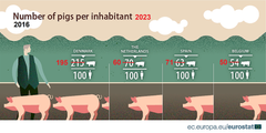 Når det gælder svinekødsindustrien, så ligger Danmark på den absolutte førsteplads med næsten to svin for hver dansker. Knap halvdelen af EU's husdyrbestand (målt i husdyrenheder) i 2020 var kvæg, omkring 30 % var svin og omkring 15 % var fjerkræ. Kilde: Eurostat.