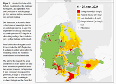 Det historiske iltsvind i september 2024 har en større udstrækning end i de seneste 22 år. Kort fra DCE-rapporten.