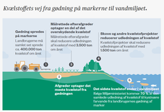 Landmandens kvælstofs vej fra de overgødskede marker til fjorde og kystnære farvande, hvor næringsstofferne gøder fedtemøg og søsalat. Grafik fra beretningen.