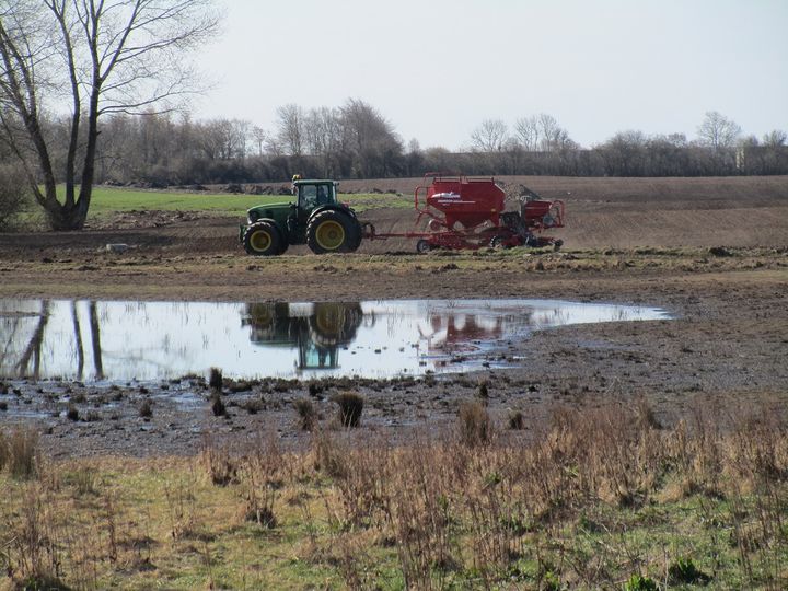 At landbruget i forvejen årligt modtager 6 milliarder kroner i EU-landbrugsstøtte, som kunne bruges til at støtte grøn omlægning af landbruget, adresseres desværre ikke i aftalen. Så denne massive støtte kører bare videre og udbetales primært til de landmænd som har mest jord. Foto: Niels Andersen.