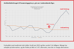 Svinekødsproducenterne er de helt store forbrugere af antibiotika, og det er især småsvinene, der kræver stærkt stigende mængder lægemidler efter forbuddet mod brug af tungmetallet zink. Kilde: Danmap