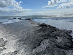 Fedtemøget på Dueodde Strand bliver produceret der, hvor koncentrationen af næringsstoffer er højest. Så jo tættere på kysten fedtemøget er, jo større betydning har de lokale kilder som især skyldes øens landbrug. Foto: Christian Hald-Mortensen