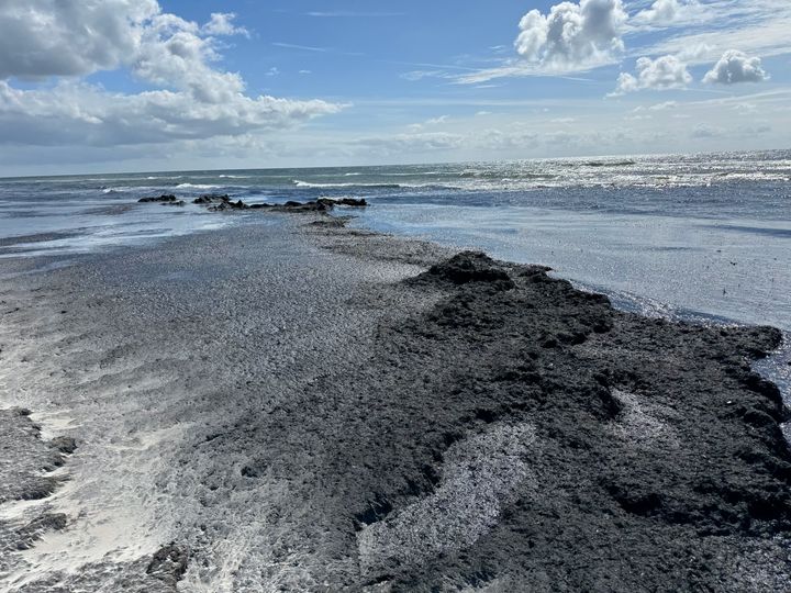 Fedtemøget på Dueodde Strand bliver produceret der, hvor koncentrationen af næringsstoffer er højest. Så jo tættere på kysten fedtemøget er, jo større betydning har de lokale kilder som især skyldes øens landbrug. Foto: Christian Hald-Mortensen