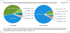 Trods alle løfter fra svinesektorens lobbyister vokser forbruget af antibiotika til svin atter. Syge svin sluger nu 84 % af samtlige de lægemidler (2023), som dyrlægerne ordinerer. Det er et rekordhøjt forbrug, der på sigt vil true folkesundheden på grund af udviklingen af resistens. Det viser Danmap-rapporten over antibiotikaforbruget i 2023.