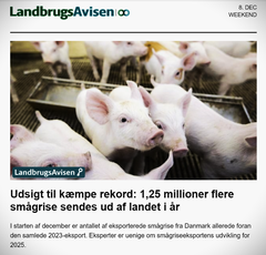 Landbrugets medier fejrer rekorden uanset ødelæggelsen af den danske slagteribranche. Skærmbillede fra Landbrugsavisen.dk