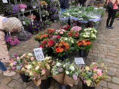 Det er en god tradition, at gæsterne til enten jul eller nytår har en buket blomster med til værten. Desværre er det en kendt sag, at der bruges mange kemikalier og sprøjtemidler til dyrkning af blomster i europæiske lande, men også i lande uden for EU.