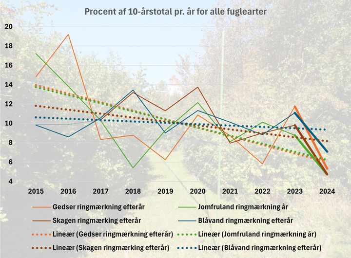 De ubrudte kurver viser samstemmende op- og nedgange i antallet af fugle, der er fanget til ringmærkning i de seneste år ved DOF’s tre fuglestationer i Skagen, Blåvand og Gedser samt Jomfruland i Norge. De stiplede liner viser den lineære udvikling ved de samme træklokaliteter.  Grafik: Bo Kayser.