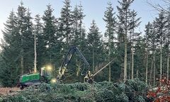 Bidstrup-skoven. Først rørt, siden urørt: Som en hydraulisk dinosaur æder en skovningsmaskine sig gennem en større grankultur. I hurtig rækkefølge bliver træerne taget ved vingebenet, fældet, afgrenet og opsavet. Området skal efterlades som lysning med naturlig succession, til forhåbentlig bedre gavn for en masse livsformer, inklusive småfugle, end den forrige ensartede, mørke og tætte grankultur.  Foto: Ian Heilmann