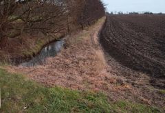 Glyfosatbaserede sprøjtemidler som Roundup er verdens mest anvendte med 825.000 tons per år (2014), og forbruget fortsætter med at vokse. Det svarer til godt et halvt kilo glyfosat for hver eneste hektar afhøstet land i verden. Kilde: Goulson, D.: Silent Earth. 2021.