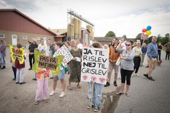 Overalt i landet som her ved Næstved i august 2023 protesterer lokalbefolkningen mod de ildelugtende og støjende svinekødsfabrikker, men ofte forgæves fordi landspolitikerne har valgt at sætte nærdemokratiet ud af kraft, når det gælder den slags anlæg. Foto: Greenpeace.