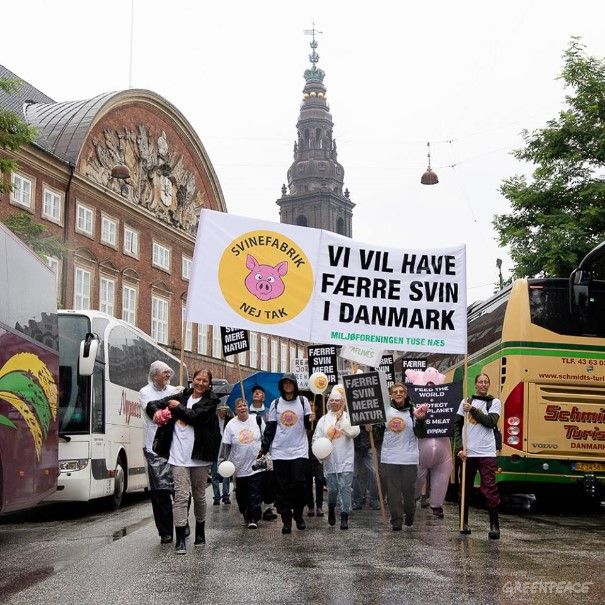 Miljøforeningen på Tuse Næs har fået nok af svinebaronernes omklamring af deres landsby, så i august 2018 gik de i demonstration ud for Folketinget. Foto: Greenpeace