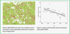 Tabet af trædække i Letland på grund af fældning (tv.) og nedgangen i antal skovfugle i Estland (th.). Grafik fra rapporten.